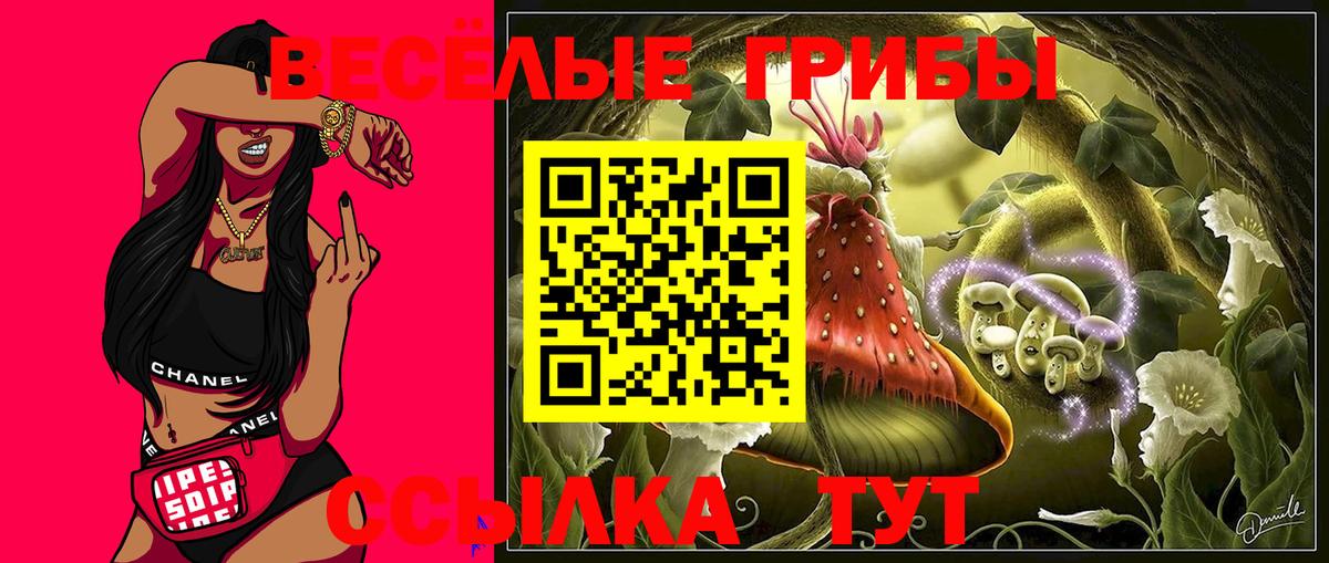 Псилоцибиновые грибы мухоморы Архангельск