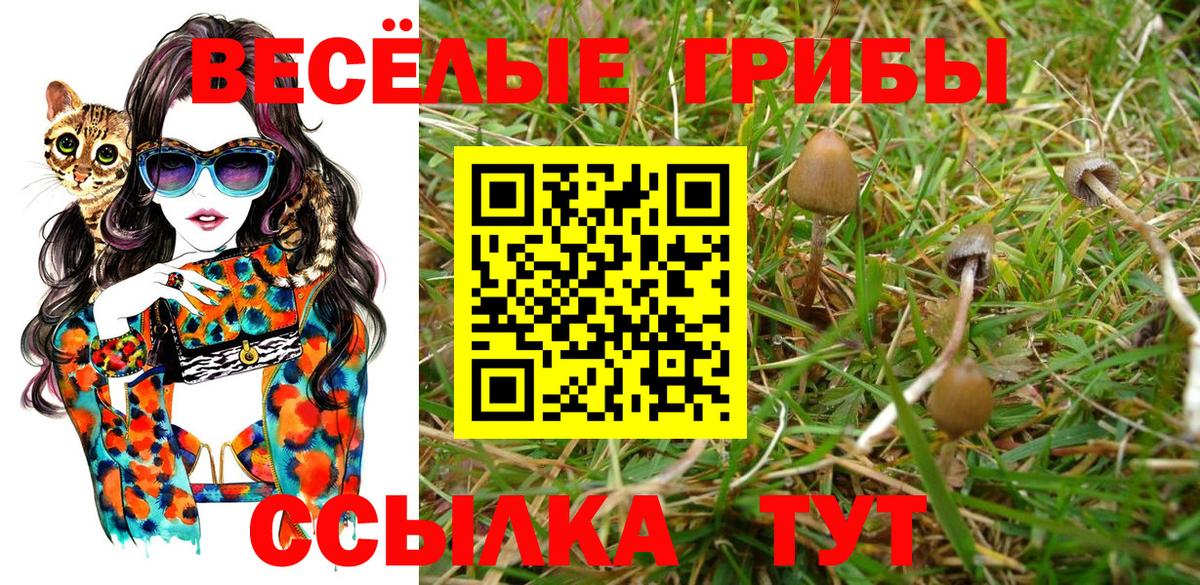 Архангельск  Псилоцибиновые грибы Psilocybine cubensis  Вход с VPN 